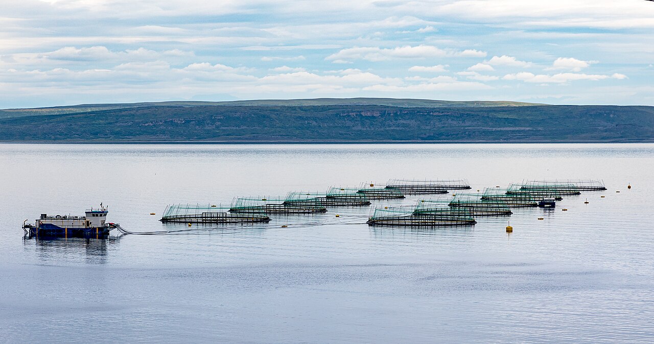 Bugøynes ved Varangerfjorden i Finnmark, hjemsted for Bugøynesfestivalen