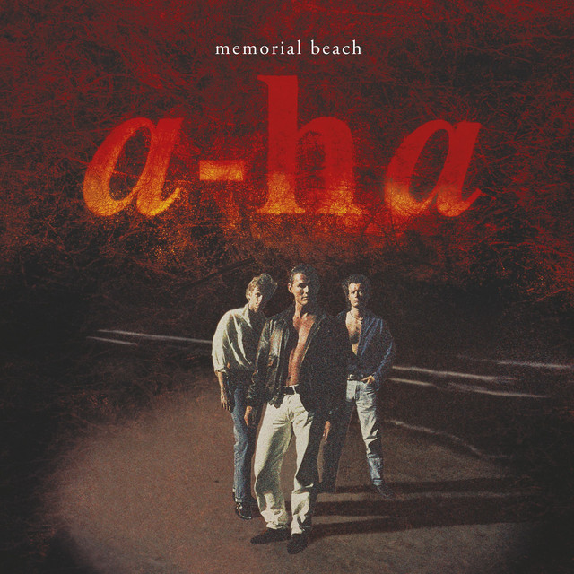 Memorial Beach (1993) cover