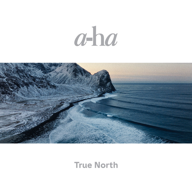 True North (2022) cover