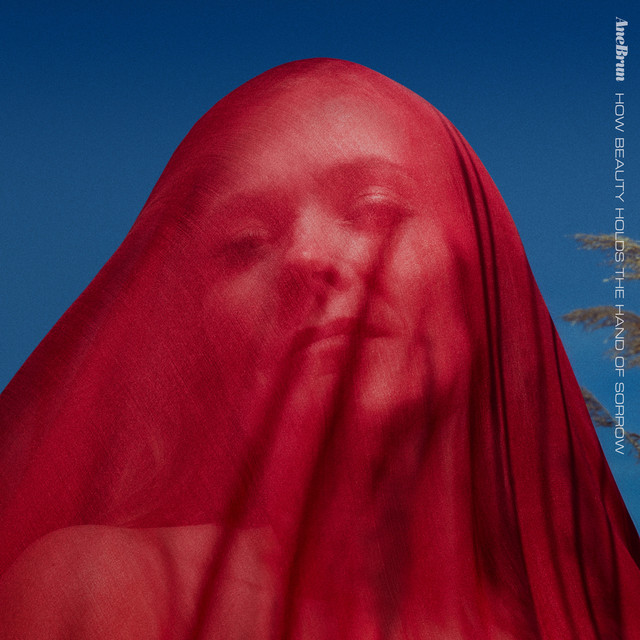 How Beauty Holds the Hand of Sorrow (2020) cover