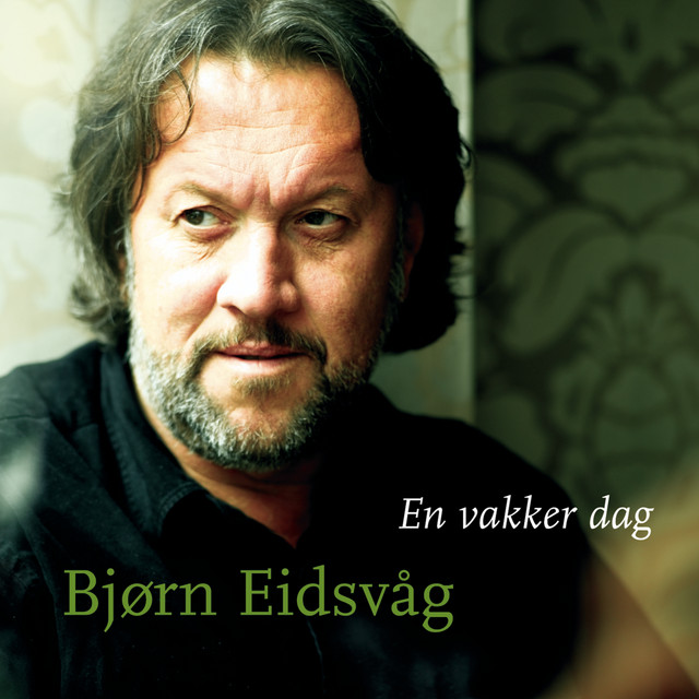 En vakker dag (2004) cover