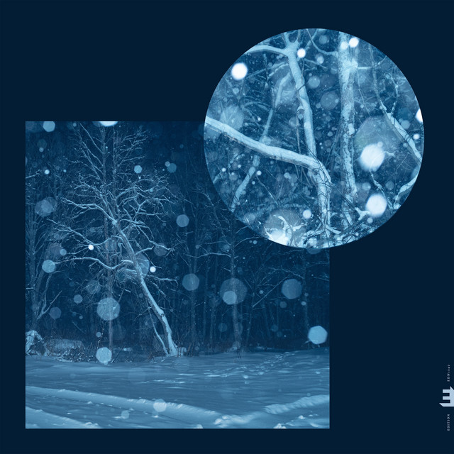Call For Winter II: Resonance (2024) cover