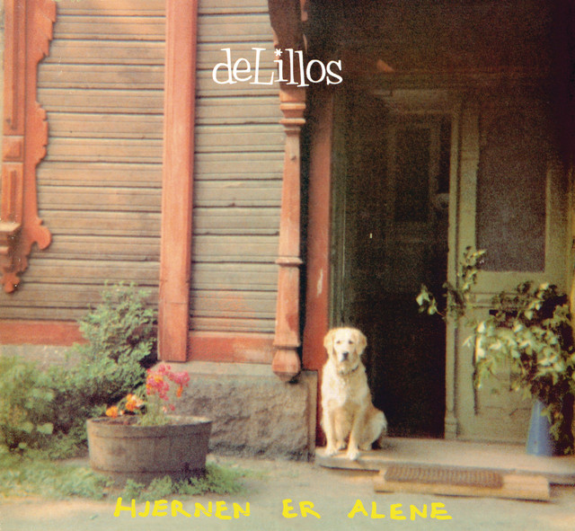 Hjernen er alene (1989) cover