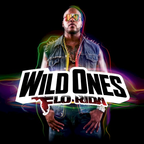 Wild Ones (2012) cover