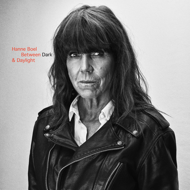 Between Dark & Daylight (2020) cover