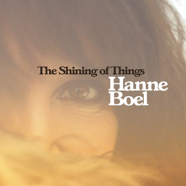 The Shining of Things (2011) cover