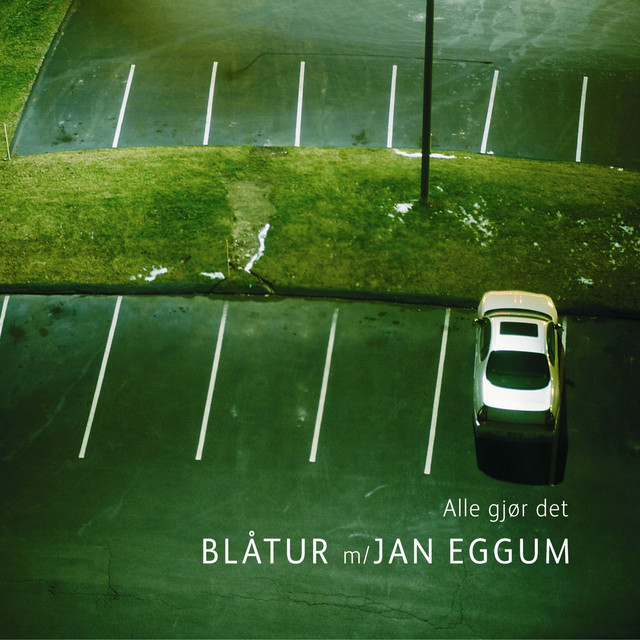 Alle gjør det (2004) cover