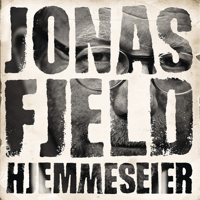 Hjemmeseier (2011) cover