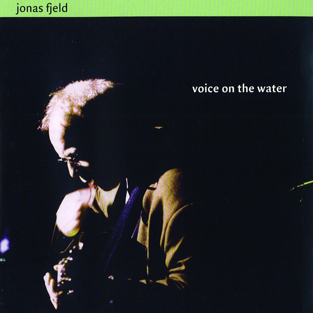 Voice on the Water (1999) cover