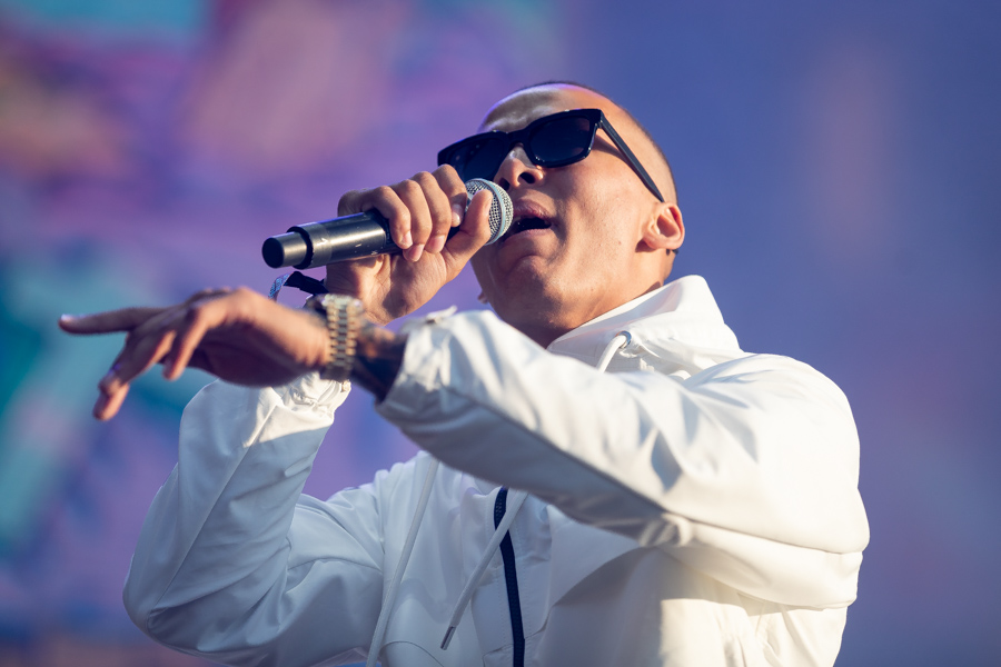 Kamelen live