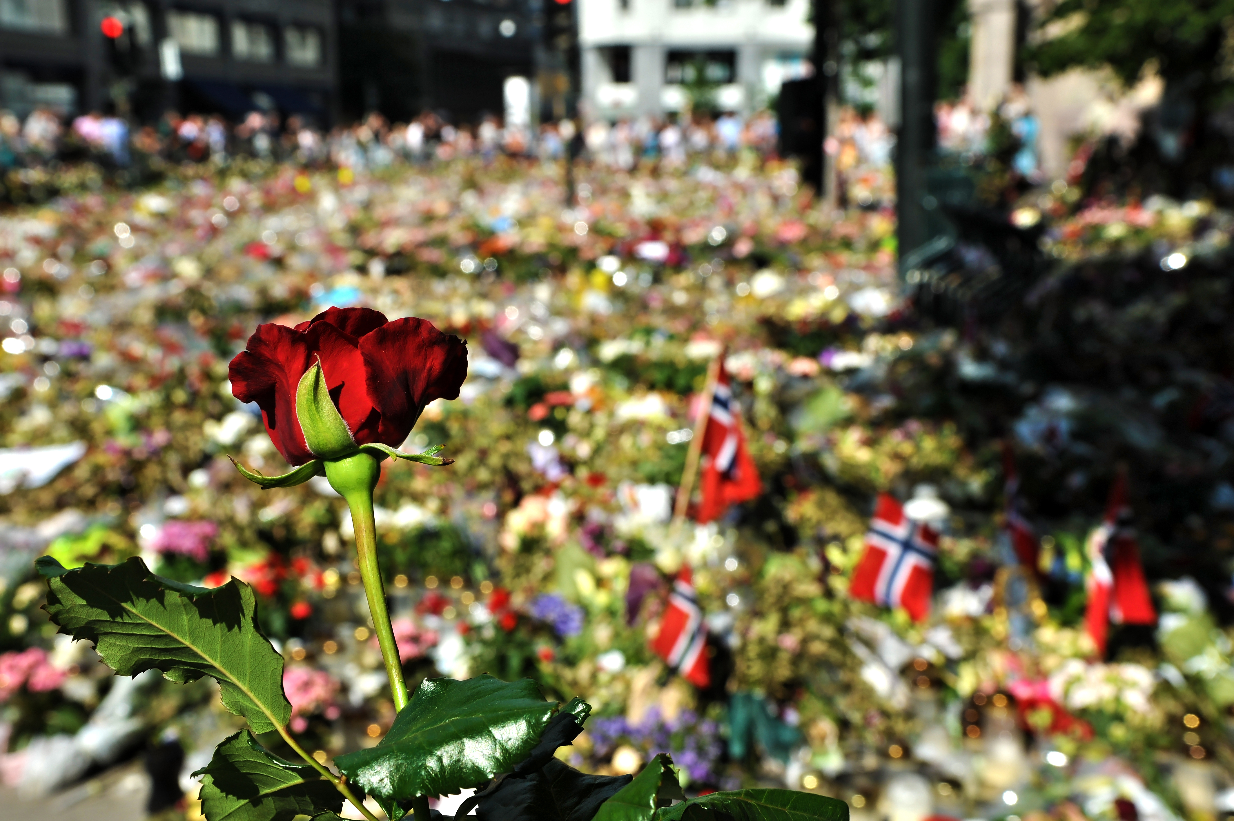 Blomsterhav utenfor Oslo Domkirke 22. juli 2011