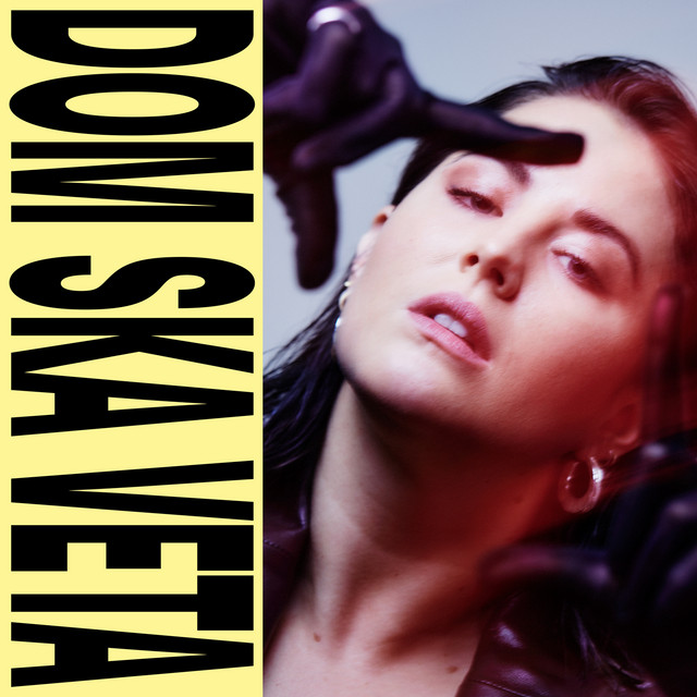DOM SKA VETA (2021) cover