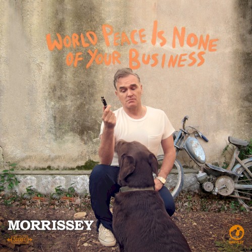 World Peace Is None of Your Business (2014) cover