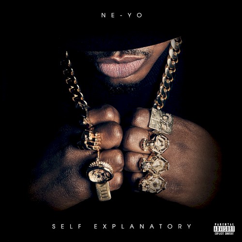 Self Explanatory (2022) cover