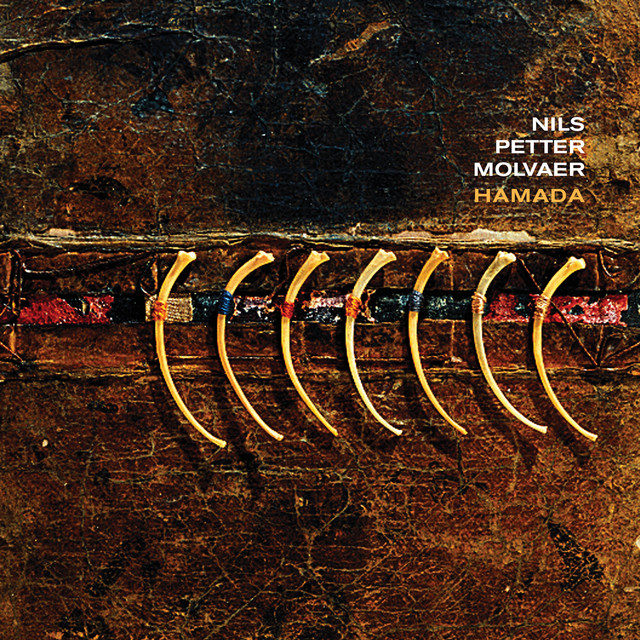 Hamada (2009) cover