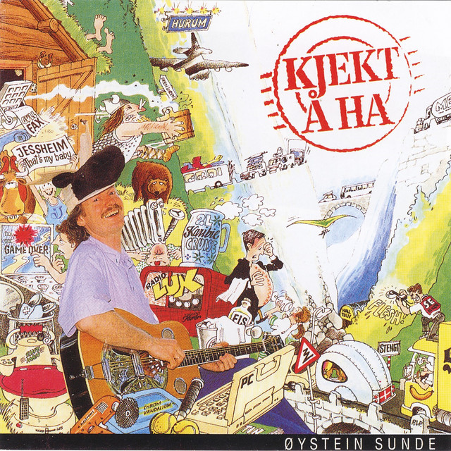 Kjekt å ha (1989) cover