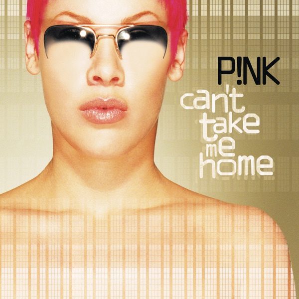 Platecoveret til Can't Take Me Home (2000)