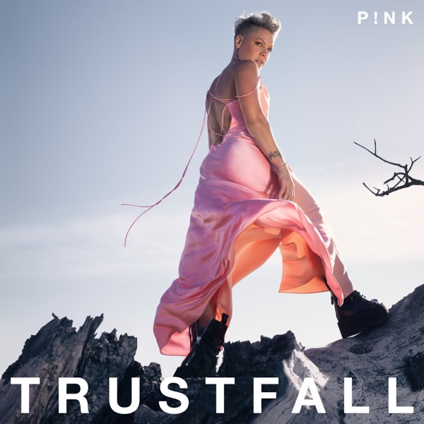 Platecoveret til TRUSTFALL (2023)