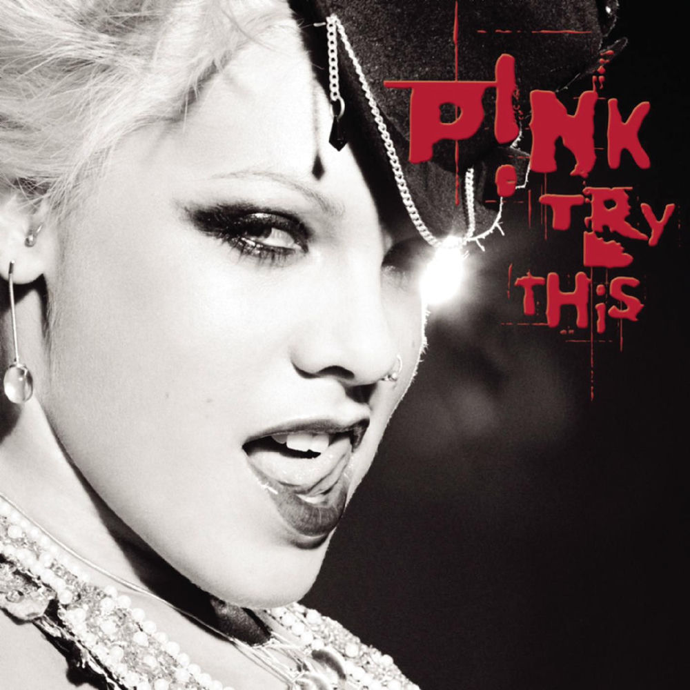 Platecoveret til Try This (2003)