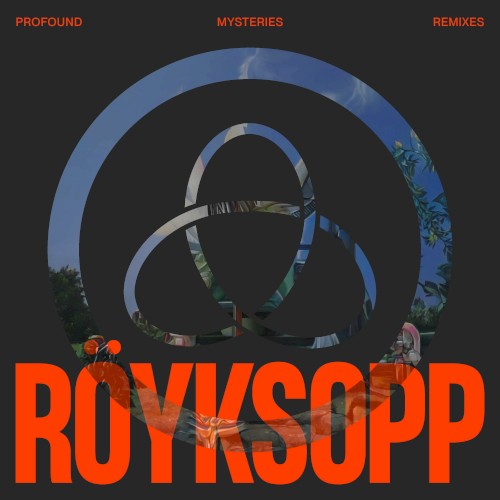 Profound Mysteries Remixes (2022) cover