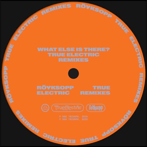 What Else Is There? (True Electric Remixes) (2025) cover