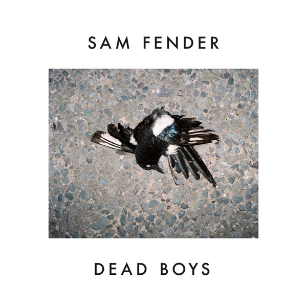 Platecoveret til Dead Boys (2018)