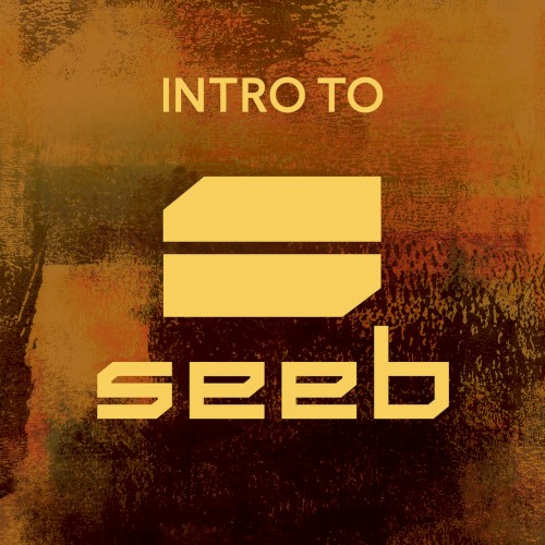 Intro to Seeb (2016) cover