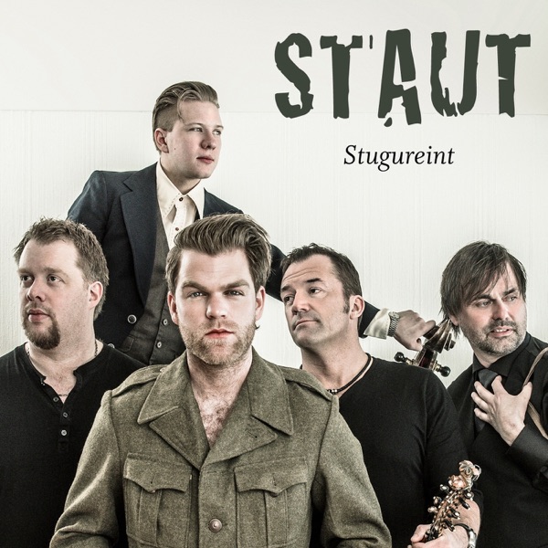 Stugureint (2013) cover