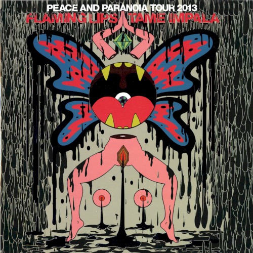Peace and Paranoia Tour 2013 (2013) cover
