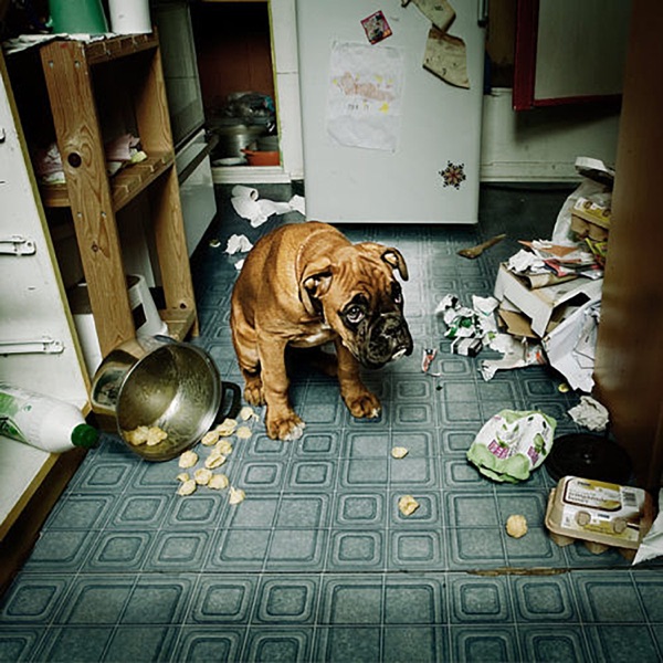 Liddeli gla (2009) cover