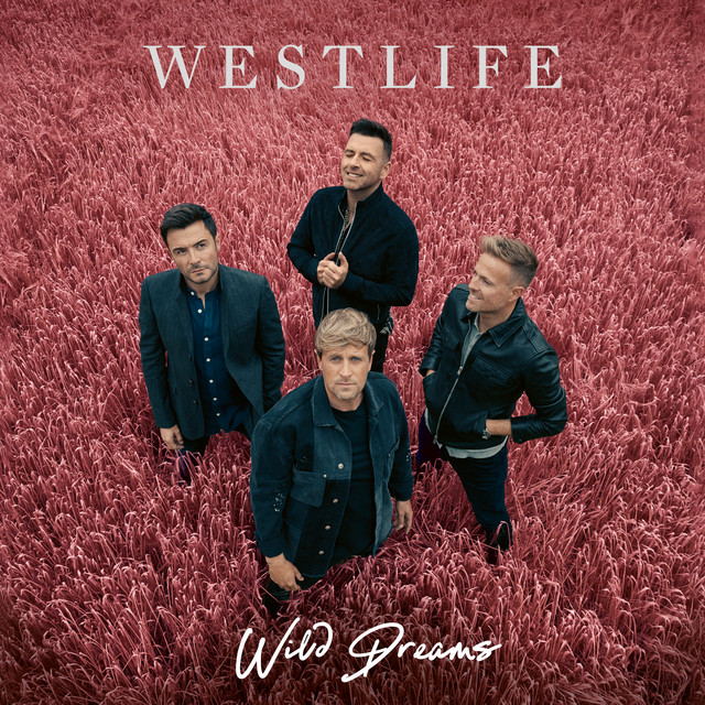 Wild Dreams (2021) cover