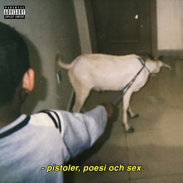 Platecoveret til PISTOLER POESI OCH SEX (2023)