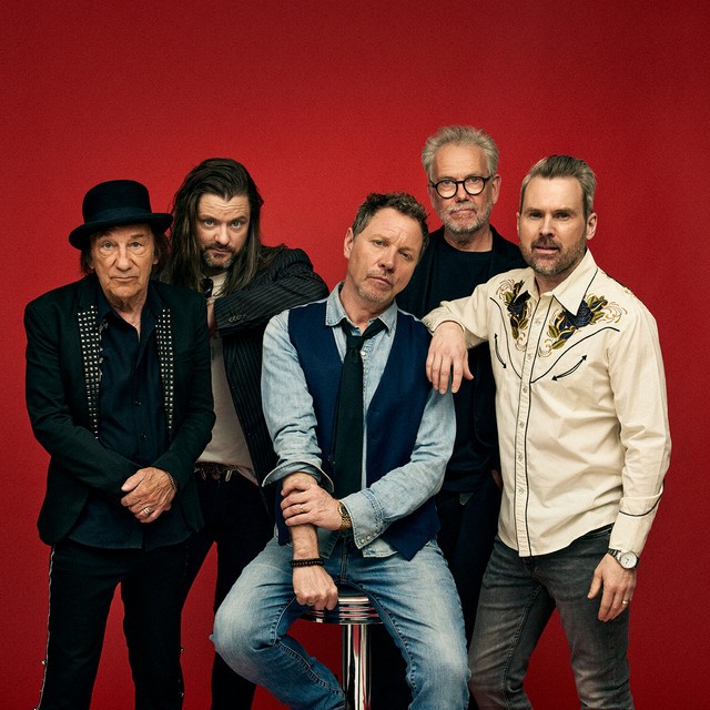 The Waterboys live